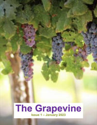 The Grapevine front cover showing grapes hanging down