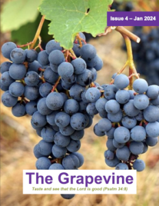 The Grapevine - taste and see that the Lord is good (Psalm 34:8)