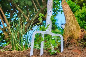 Garden fork in the ground