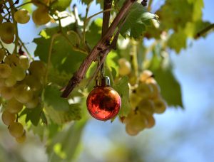 Christmas decoration with grapes